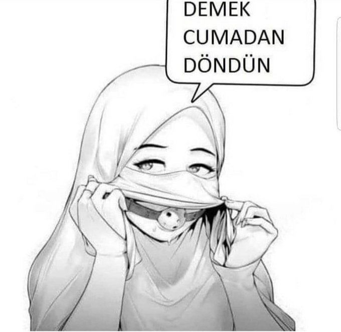 bu-hanginizin-anasi-la-xdd-inci-s-zl-k